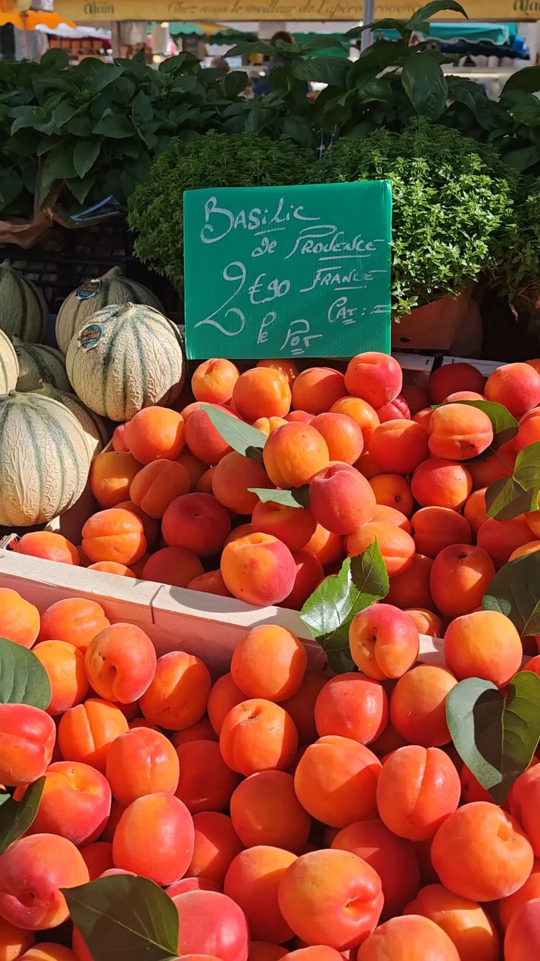 Food Tour Provençal — photo 16