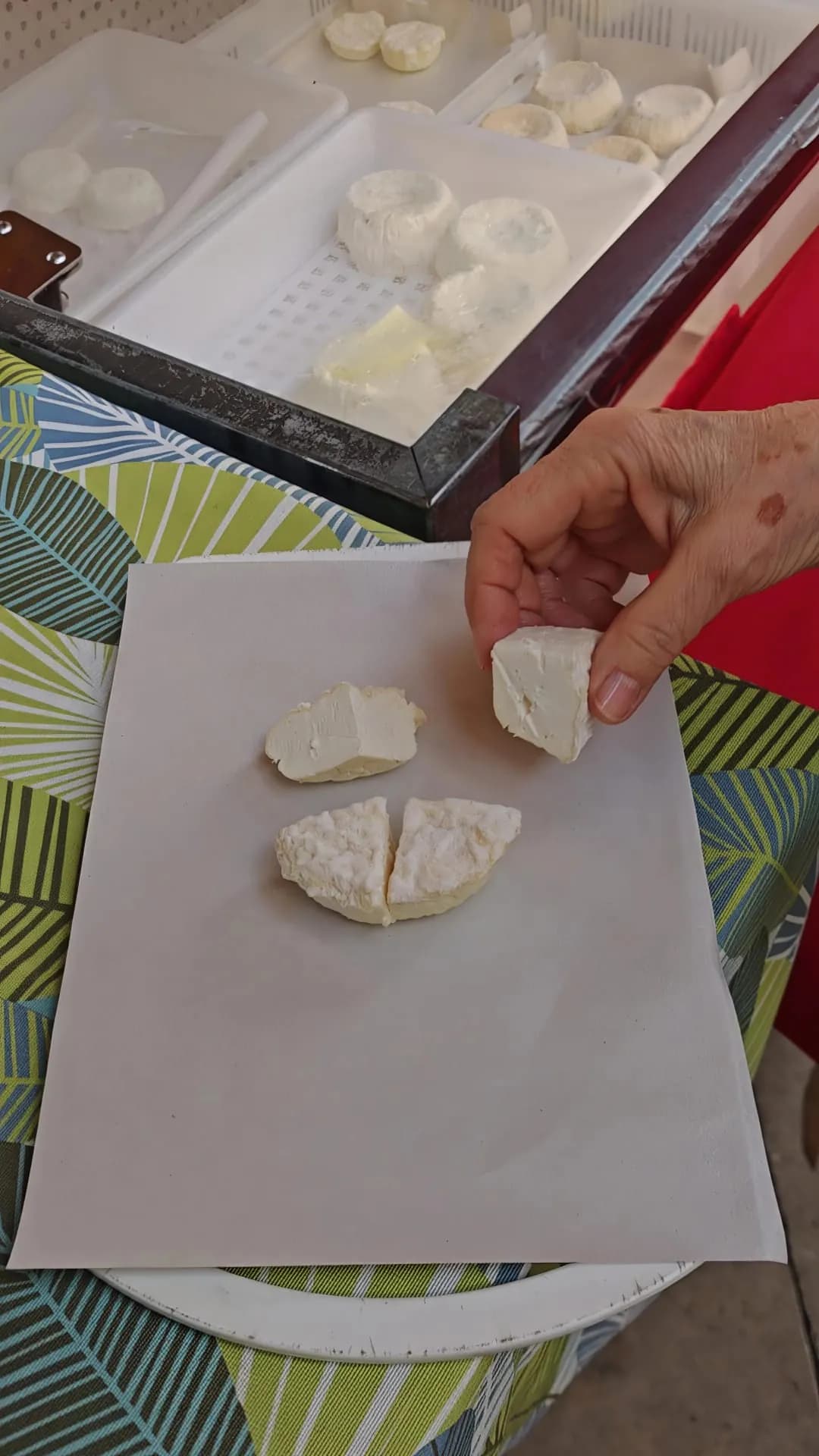 Food Tour Provençal — photo 15